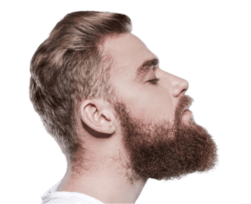 Beard Transplant